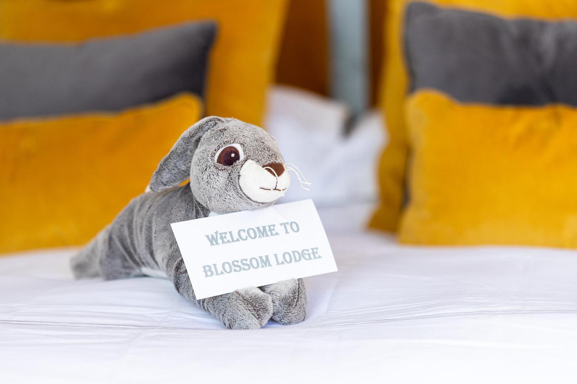 The Loft, Apple Lodge & Blossom Lodge ماكروم المظهر الخارجي الصورة